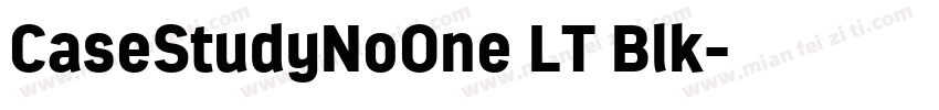 CaseStudyNoOne LT Blk字体转换